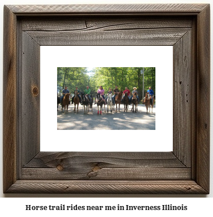 horse trail rides near me in Inverness, Illinois